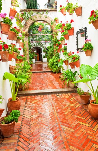 Kwiatowe patia w Kordobie