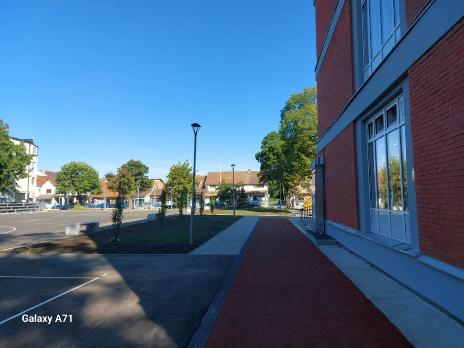 "Svetislav Golubović Mitraljeta"