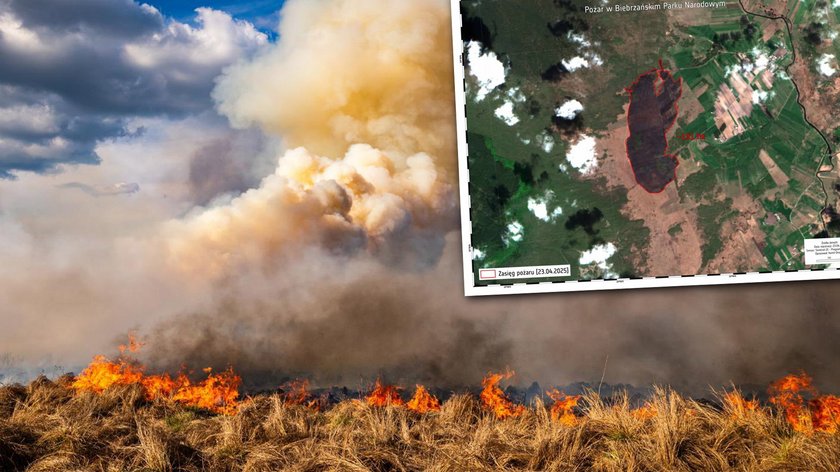 Satellite photos reveal the scale of the fire in the Biebrza National Park