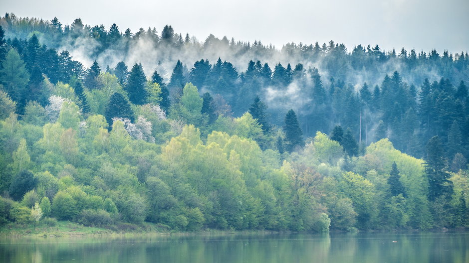 Solina, Bieszczady