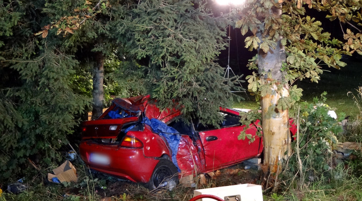 A fának csapódott kocsiban hat magyar ült /Fotó: AFP