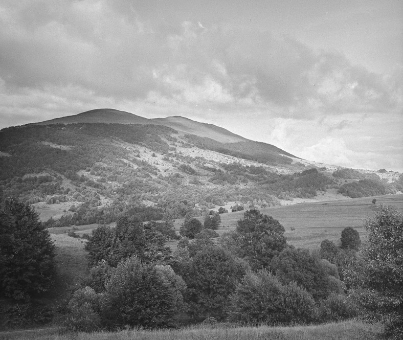 Widok na Połoninę Caryńską z Przełęczy Wyżnej, 1967-1975 r.