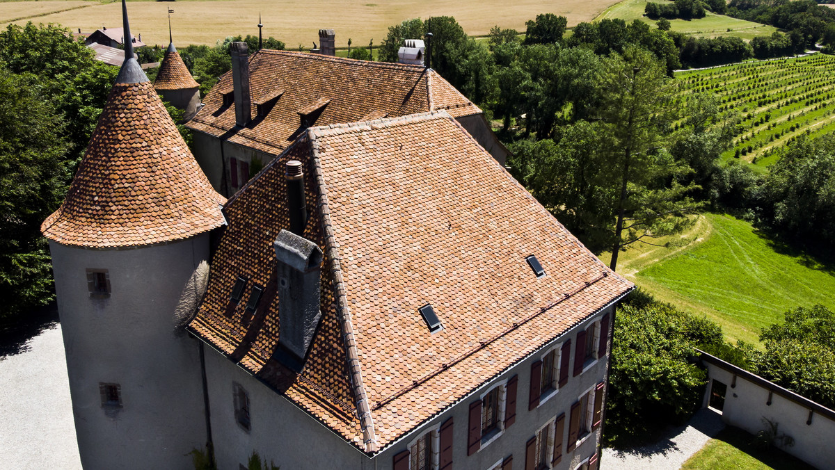 epa06841787 - SWITZERLAND CASTLE AUCTION (Bavois Castle to be auctioned)