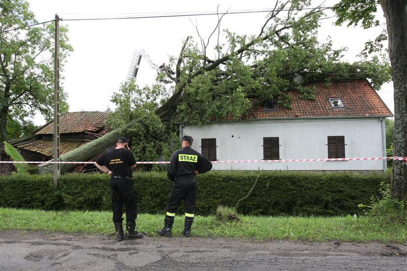 100-letni dąb zwalił się na dom państwa Szczyglak