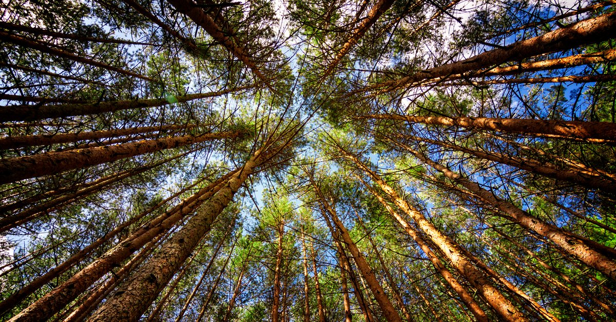 Mindfulness w praktyce: jak zrelaksować umysł i odzyskać równowagę