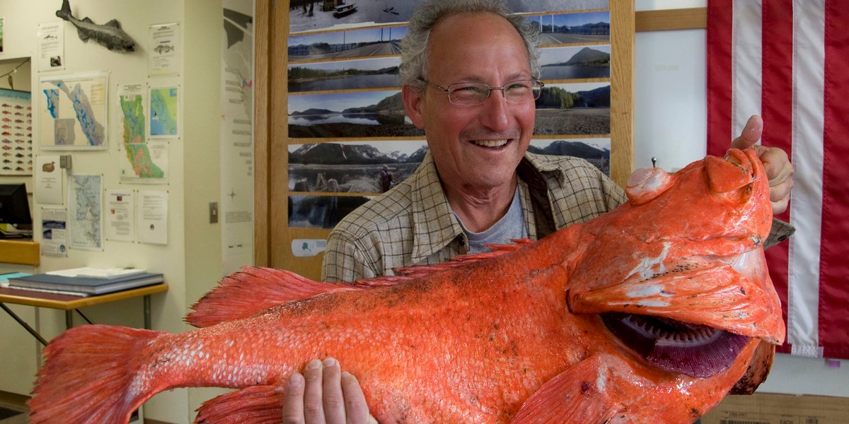 Record Rockfish