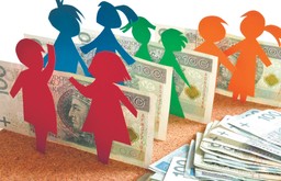 Budżet obywatelski jako przykład demokracji uczestniczącej