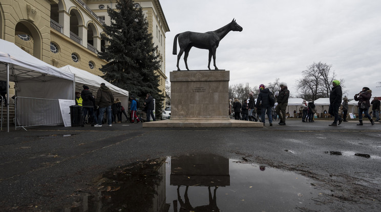 Minden idők legsikeresebb magyar versenylovának a nevét a Kincsem Park is őrzi. / Fotó: MTI/Mónus Márton