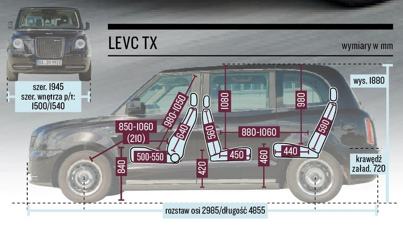 Levc TX – wymiary