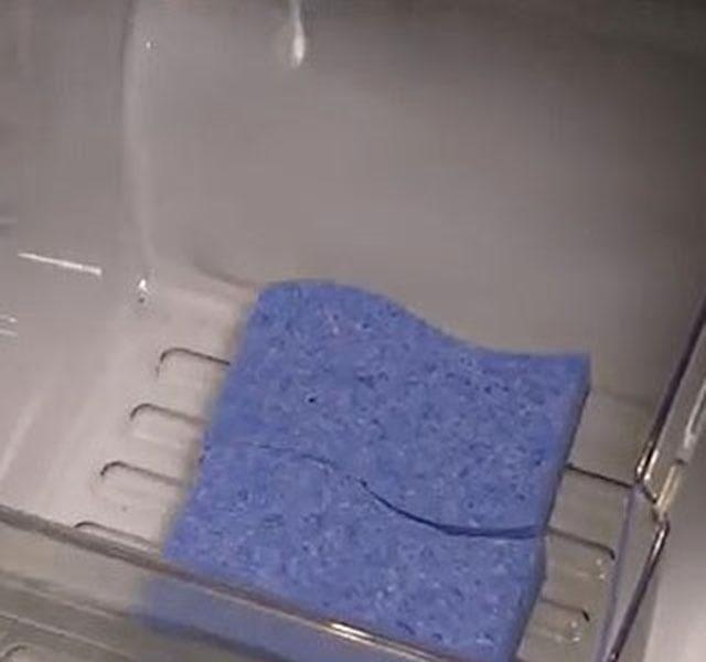 Tegyél egy szivacsot a hűtő rekeszébe, miután kipróbáltad mindig alkalmazni  fogod ezt a trükköt! (videó) - Blikk Rúzs