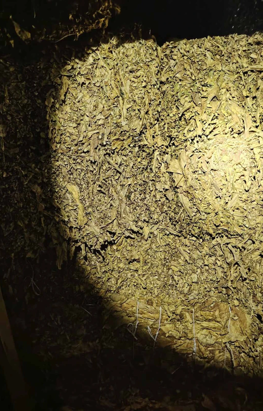 suzbijanje sive ekonomije