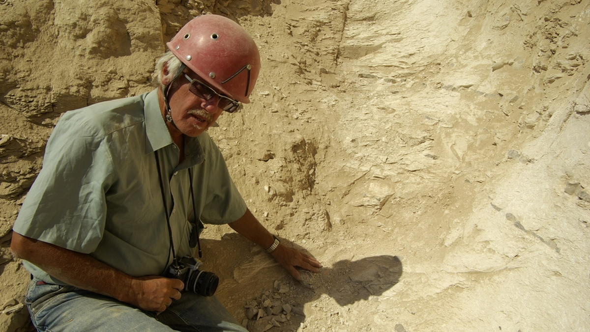 "Jeżeli to wejście tam jest, to je znajdę" – mówi profesor Andrzej Niwiński z Uniwersytetu Warszawskiego. Archeolog od 1999 r. kieruje pracami tzw. Misji Skalnej nad świątynią Hatszepsut w Deir el-Bahari w Egipcie. Ekspedycja, która miała zabezpieczać świątynie, w trakcie badań doszła do wniosków, że może tam znajdować się nieodkryty grobowiec królewski, który przyjęło się nazywać grobowcem Herhora. Jego odnalezienie byłoby sensacją i światowym wydarzeniem.