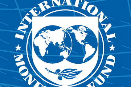 Rosja i Białoruś poza MFW i Bankiem Światowym? Wykluczenia chce premier Ukrainy