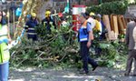 Tragedia na procesji. Drzewo zabiło pielgrzymów. Wzrosła liczba ofiar