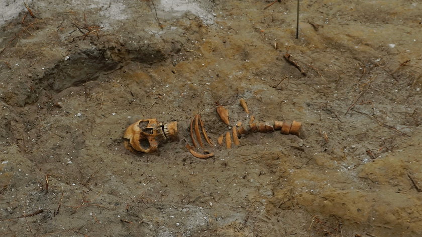 Odnaleziono szczątki wrześniowego bohatera