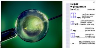 Pary szturmują kliniki in vitro. Więcej chętnych niż dotacji
