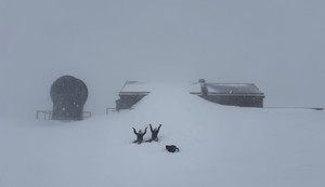 Sneg na Alpima