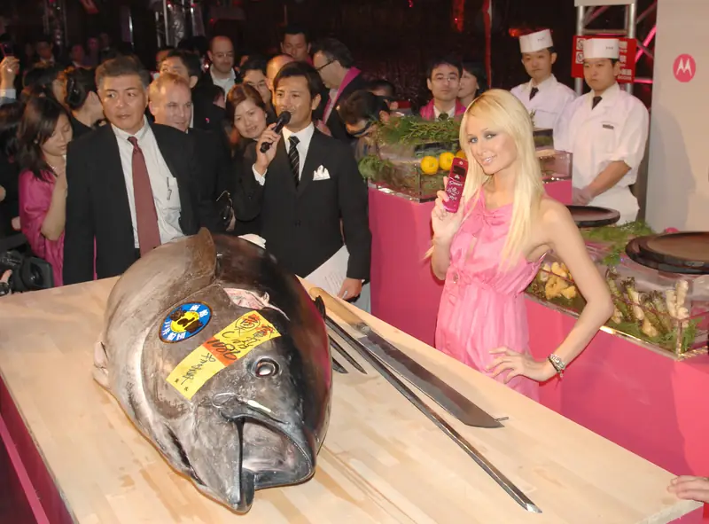 Paris Hilton na premierze Motoroli RAZR w Japonii