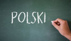 Zdałbyś dziś maturę? QUIZ z języka polskiego. Nie będzie łatwo, zakres wiedzy z liceum