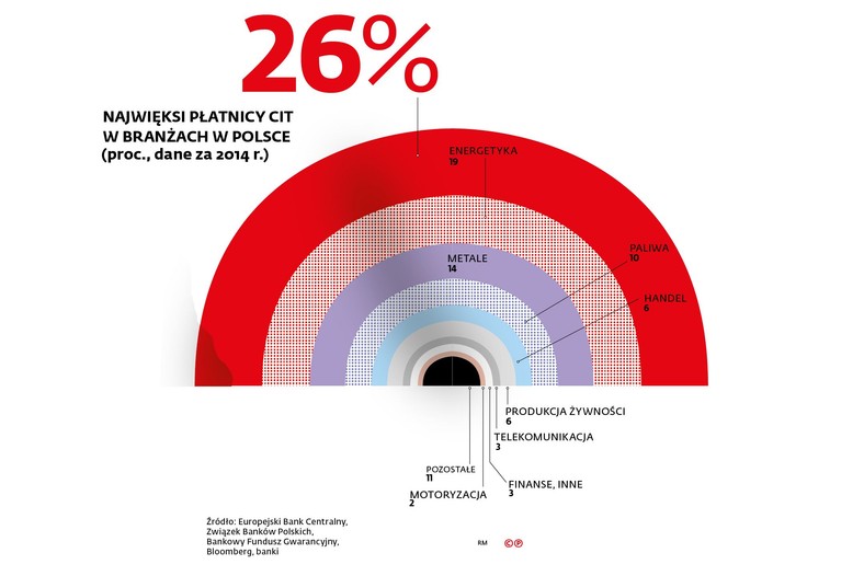 Najwięksi płatnicy CIT w branżach w Polsce