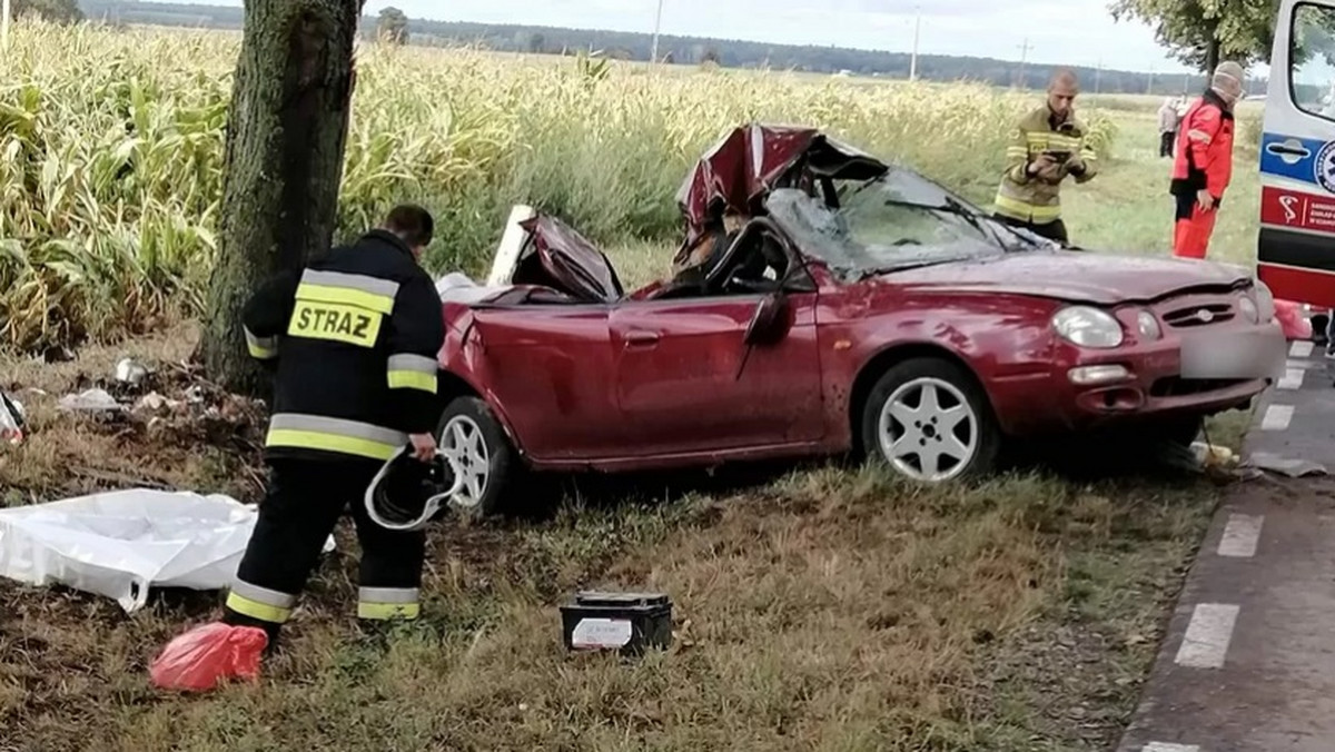 Po uderzeniu auta w drzewo zginął 11-latek.