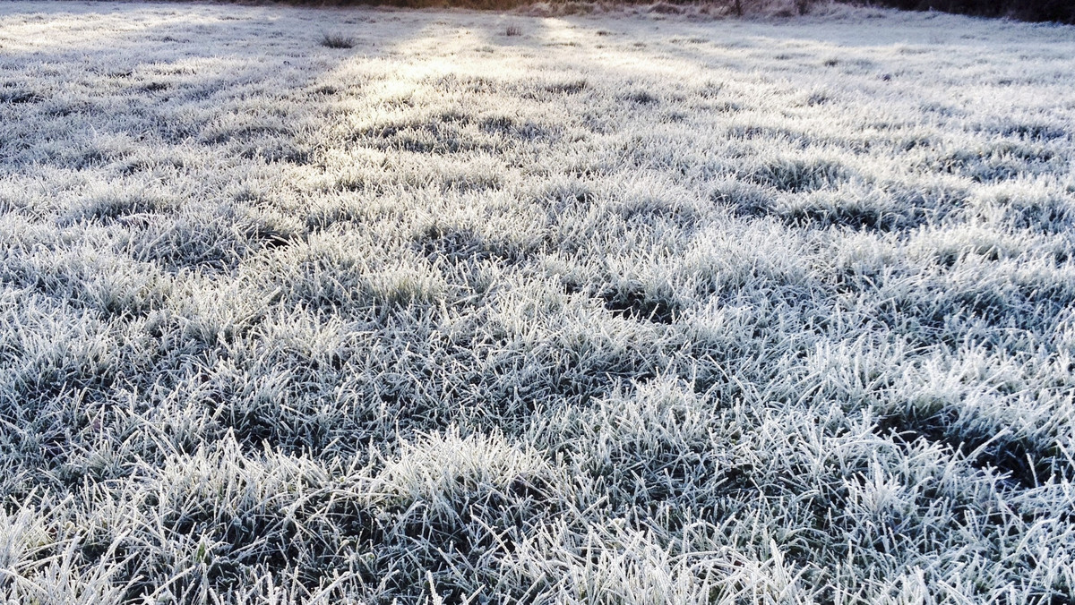 Instytut Meteorologii i Gospodarki Wodnej wydał dziś rano ostrzeżenia pierwszego stopnia przed przymrozkami dla pięciu północnych województw.