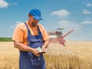 Czy koński obornik może być przychodem podatkowym?