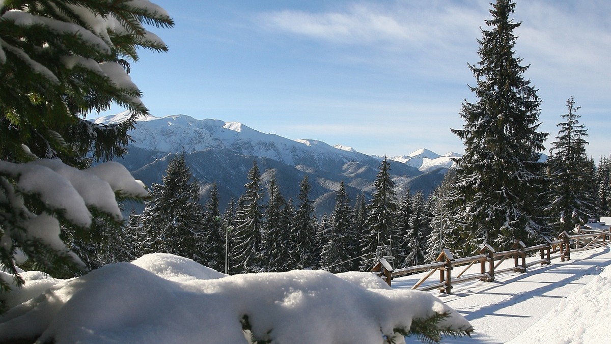 Około godziny 12.30 w Dolinie Kondratowej (Tatry Zachodnie) zeszła lawina, która zasypała kilku turystów - informuje "Tygodnik Podhalański".