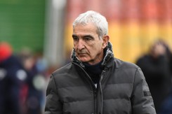 Domenech: Lewandowski nie urodził się w odpowiednim kraju