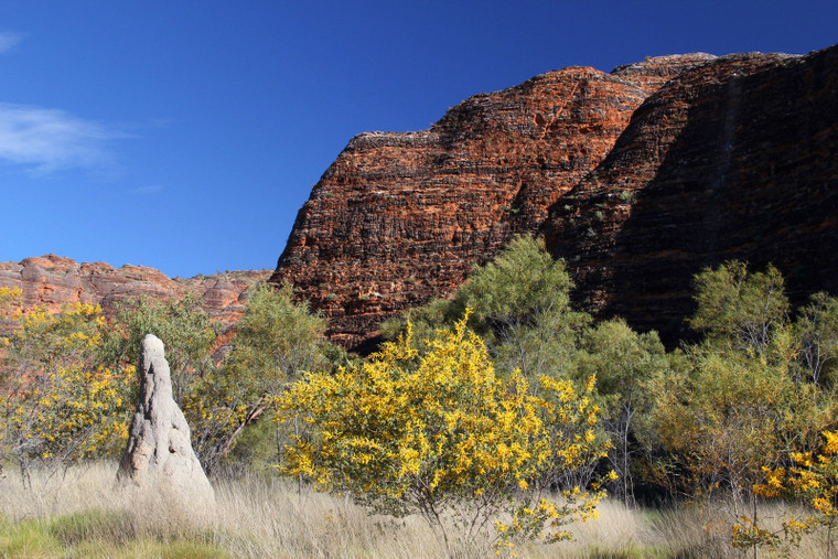 Australia – Płaskowyż Kimberley