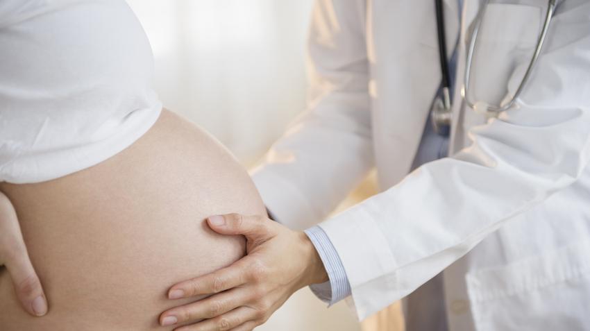terhesség, várandósság