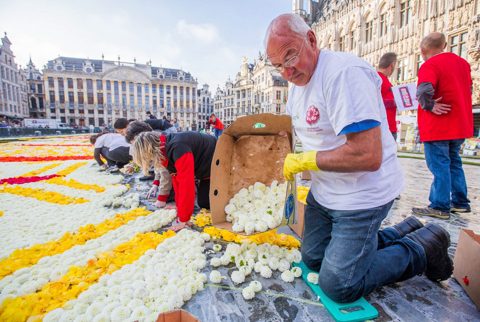 BELGIUM FLOWER CARPET (20th edition of the Flower Carpet in Brussels)