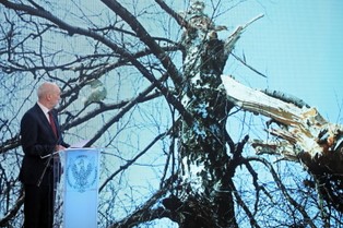 Macierewicz: Katastrofa na lotnisku pod Smoleńskiem była wynikiem aktu bezprawnej ingerencji