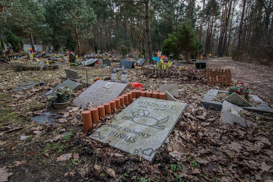 Cmentarz dla zwierząt – Konik Nowy.