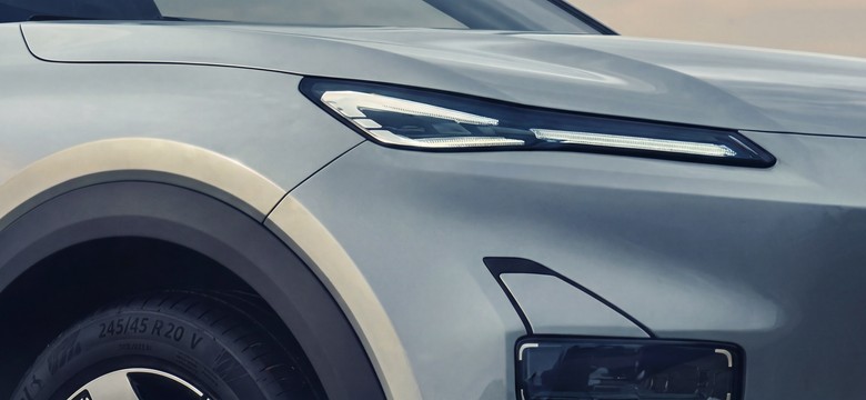 Sprzedają 7945 aut dziennie. Nowe marka wjeżdża do Polski