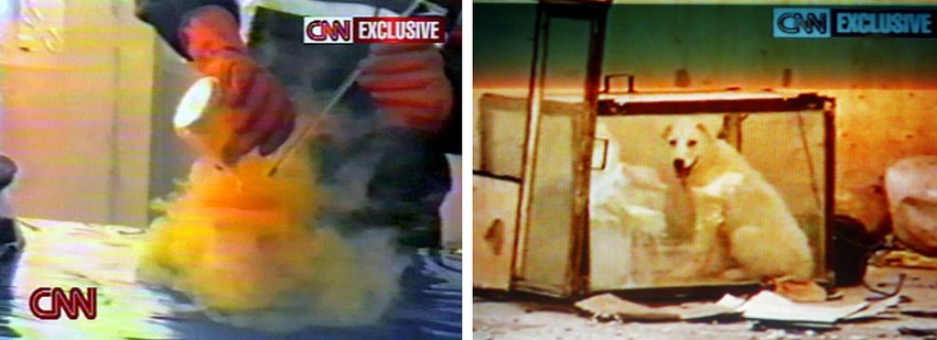 Surovi eksperimenti nad psima