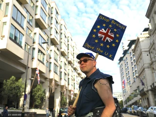 Przeciwnik brexitu. Londyn, 20 października 2018 r.