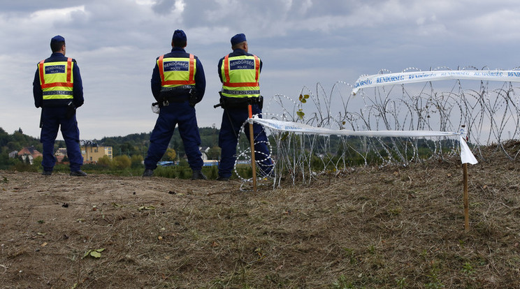 Több tucat migránst fogtak a rendőrök a Bács-Kiskun megyei határszakaszon csütörtök hajnalban / Illusztráció: Fuszek Gábor