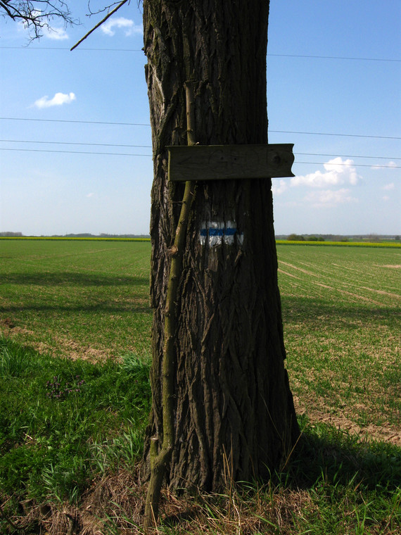 "Znak" wskazujący drogę do grodu w Biskupicach