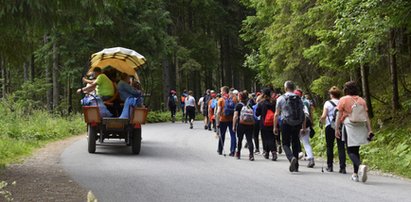 Złe wiadomości dla turystów. Tego zakazali w drodze na Morskie Oko