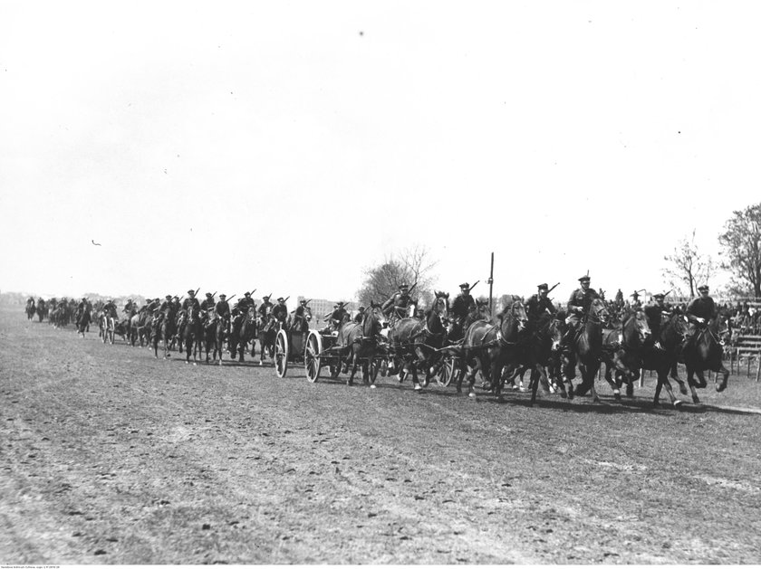 Wojsko wzięło w 1939 r. konia, to niech zapłaci