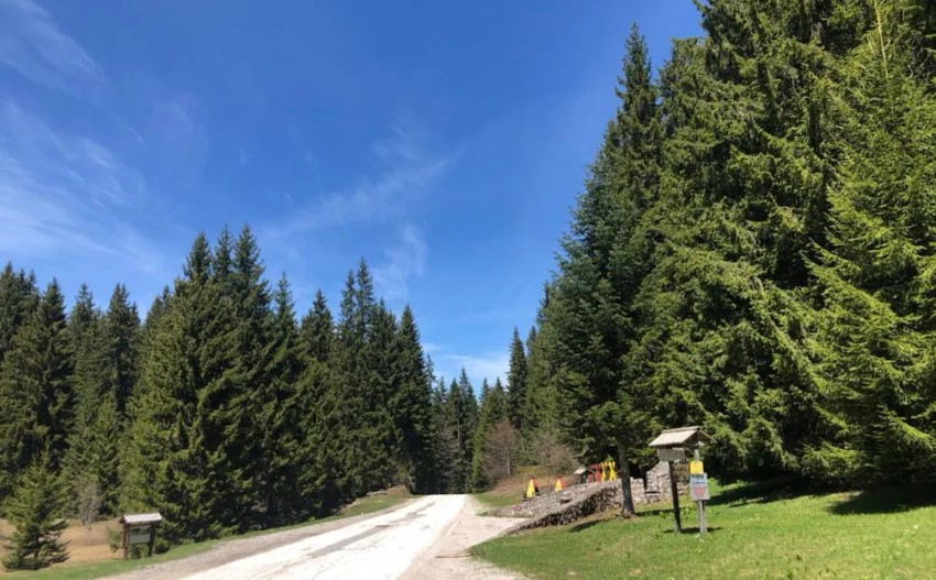 Planina Golija