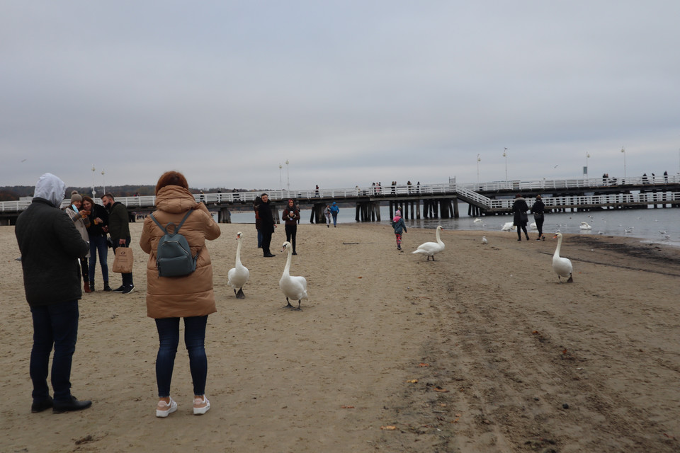 Sobota w Sopocie. Mieszkańcy spacerowali na molo i plaży