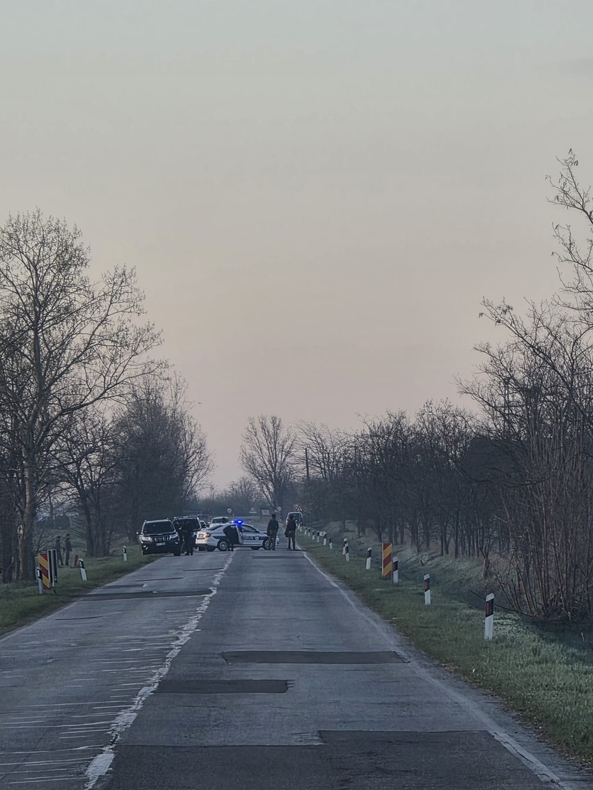 Kanjiža, akcija vojske i policije