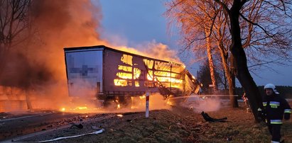 Dramatyczny wypadek ciężarówek na krajowej 8. Jedna spłonęła. Jest ofiara śmiertelna