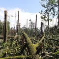 Spółki skarbu państwa już nie zaoszczędzą na ubezpieczeniu. A wszystko przez nawałnice