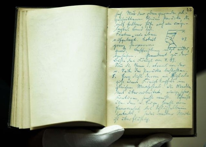 Dnevnik nemačkog arheologa Ludviga Borharta, koji je tokom iskopavanja u Ahetatonu otkrilo atelje vajara Tutmozisa, u kome se nalazila bista Nefertiti