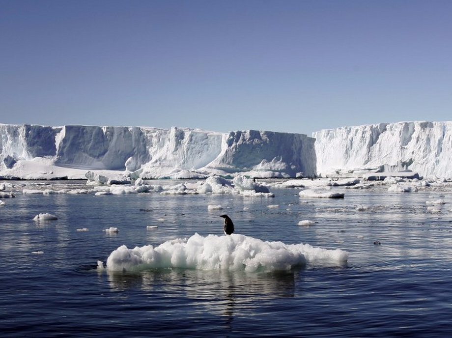 An Adelie penguin standing atop a block of melting ice in East Antarctica