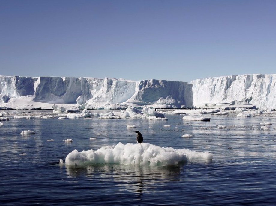 An Adelie penguin standing atop a block of melting ice in East Antarctica