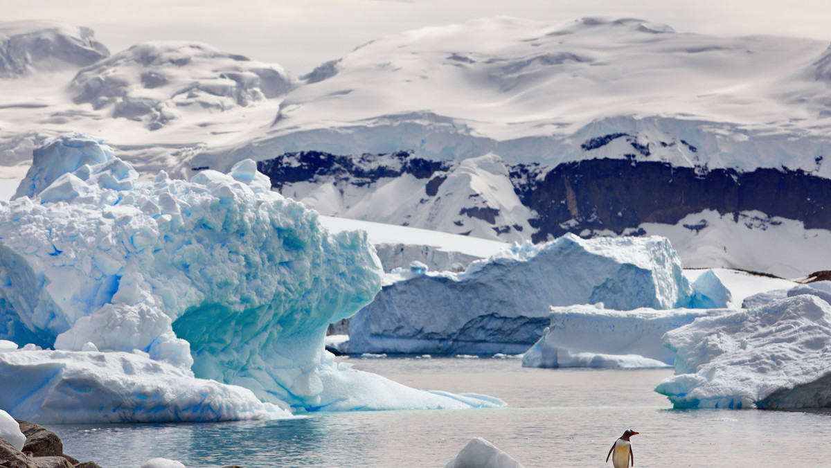 Antarktyda topnieje. Naukowcy ostrzegają: będzie jeszcze gorzej